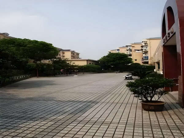 庶女谋略：盛世毒妃